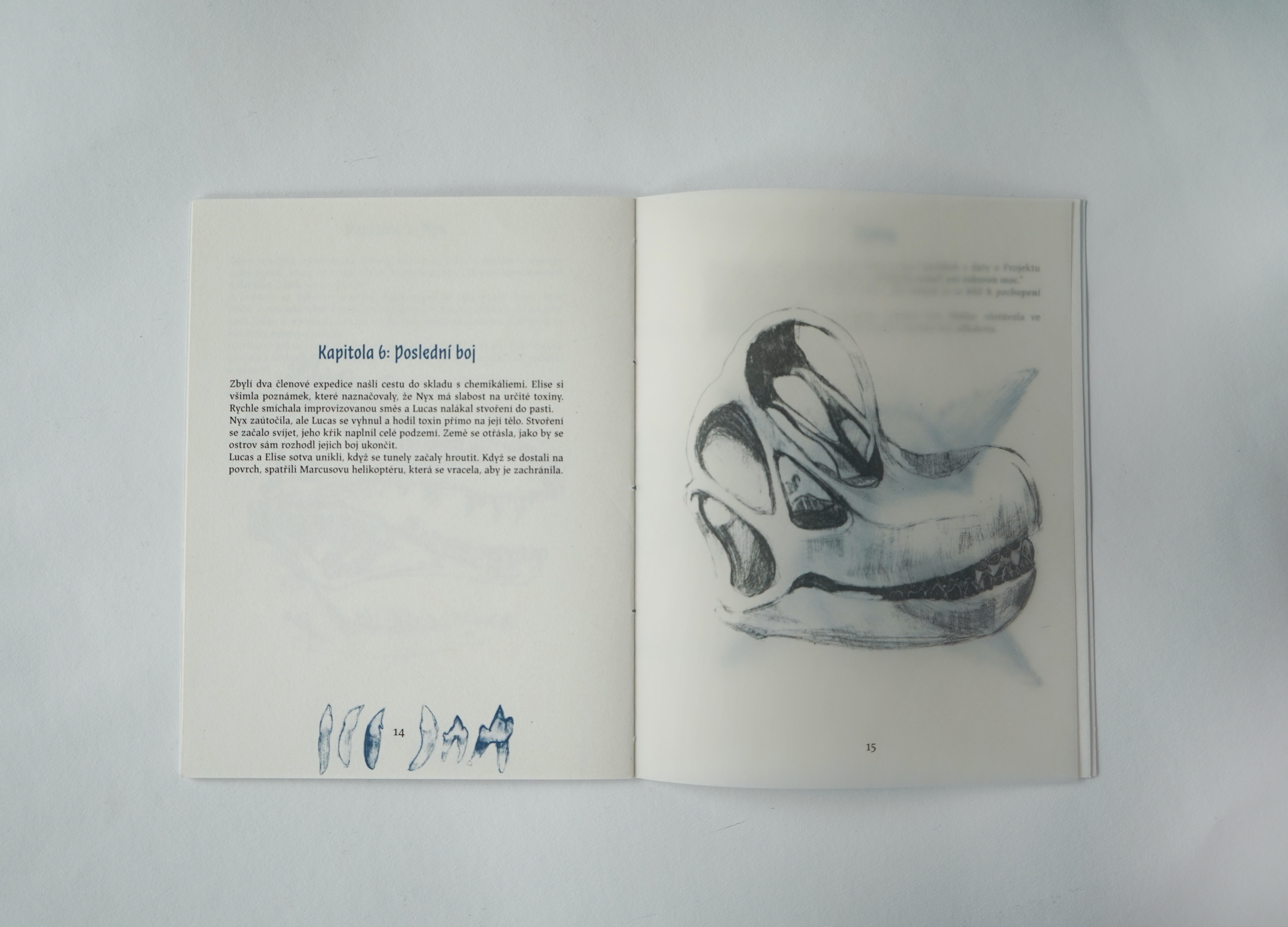 Knižka — page 8